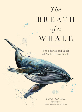 Leigh Calvez The Breath of a Whale