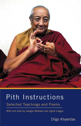 Dilgo Khyentse Rinpoche - Pith Instructions: Selected Teachings and Poems