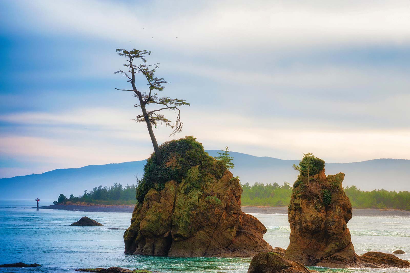 intertidal rock in Tillamook Bay Embark on an Epic - photo 13