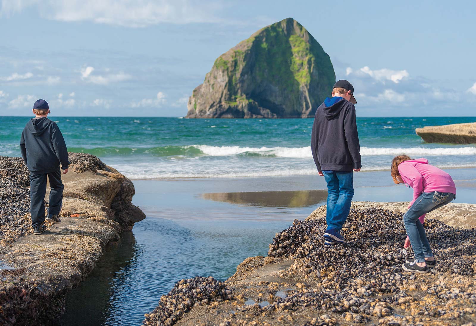 Explore Tide Pools at At low tide Cannon Beachs iconic sea stack is a fine - photo 16