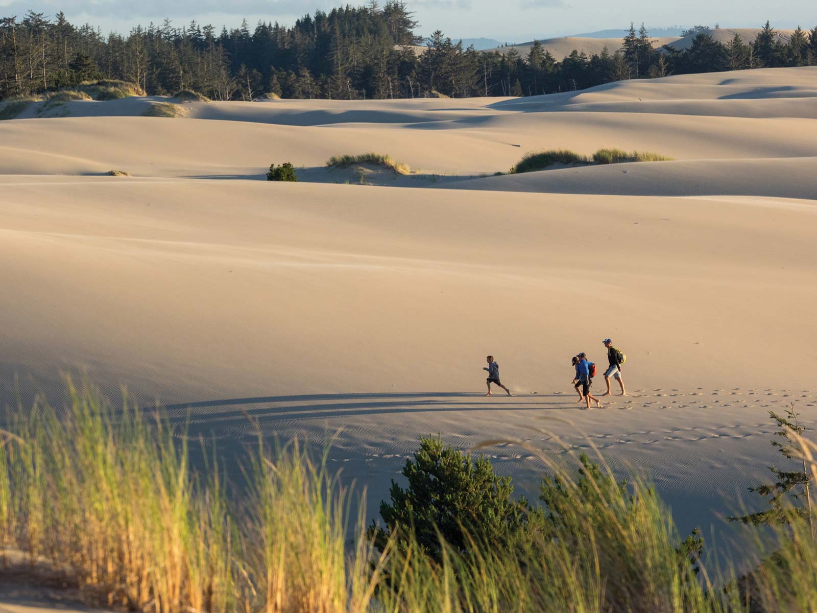 Wander the Oregon Dunes on the ever-shifting piles of sand is exhausting but - photo 20