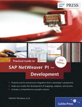 Valentin Nicolescu - Practical Guide to SAP NetWeaver PI - Development
