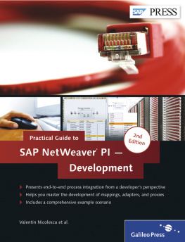 Valentin Nicolescu Practical Guide to SAP NetWeaver PI - Development