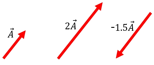 13 ADDITION OF VECTORS Vector addition isnt as straightforward as adding - photo 7