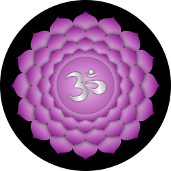 T he symbol of the Third Eye chakra is composed of a lotus flower and an - photo 3