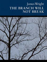 title The Branch Will Not Break Poems author Wright James - photo 1