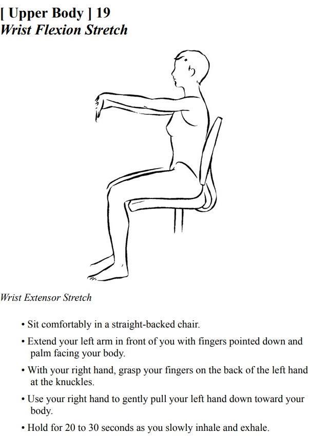 Stretching Exercises - A Guide to Flexibility Training - photo 29