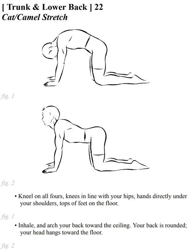 Stretching Exercises - A Guide to Flexibility Training - photo 31