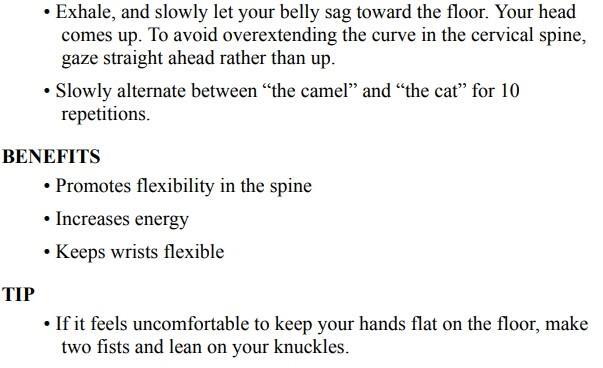 Stretching Exercises - A Guide to Flexibility Training - photo 32