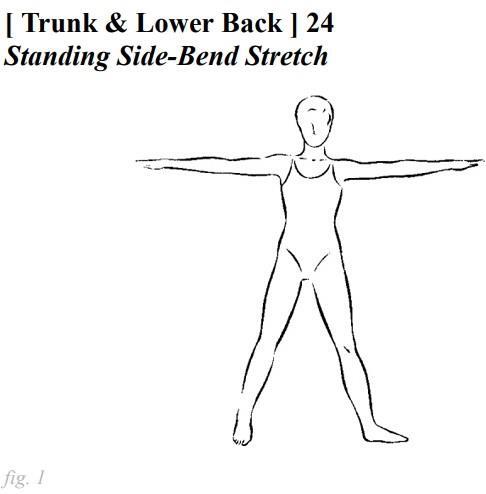 Stretching Exercises - A Guide to Flexibility Training - photo 35