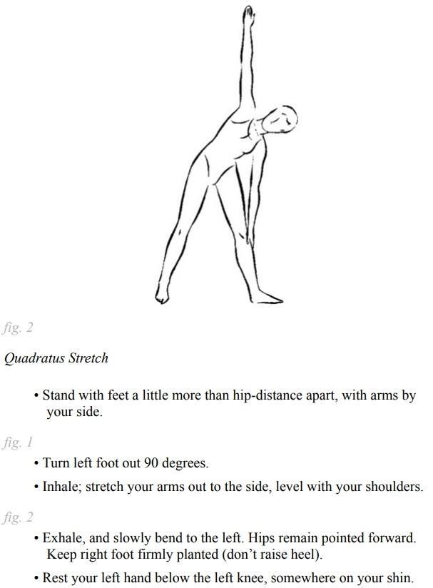 Stretching Exercises - A Guide to Flexibility Training - photo 36