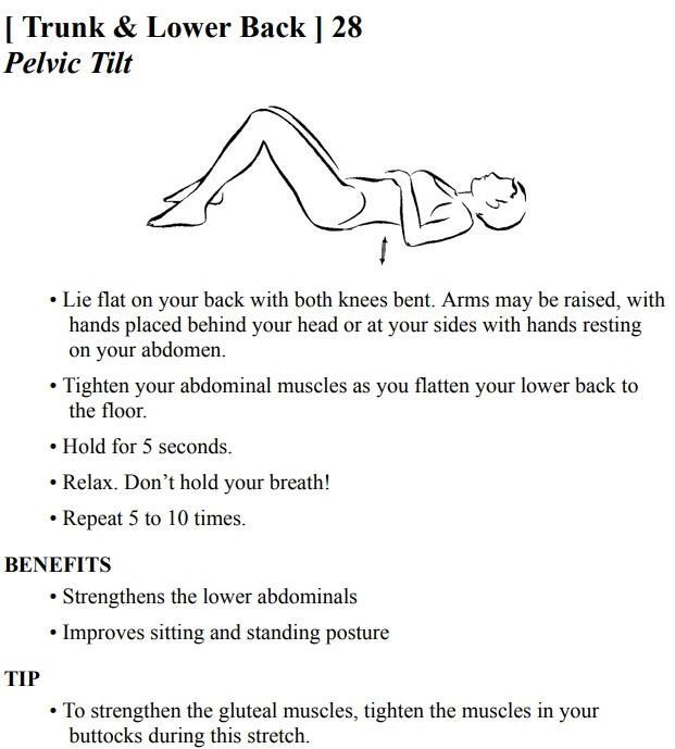 Stretching Exercises - A Guide to Flexibility Training - photo 43