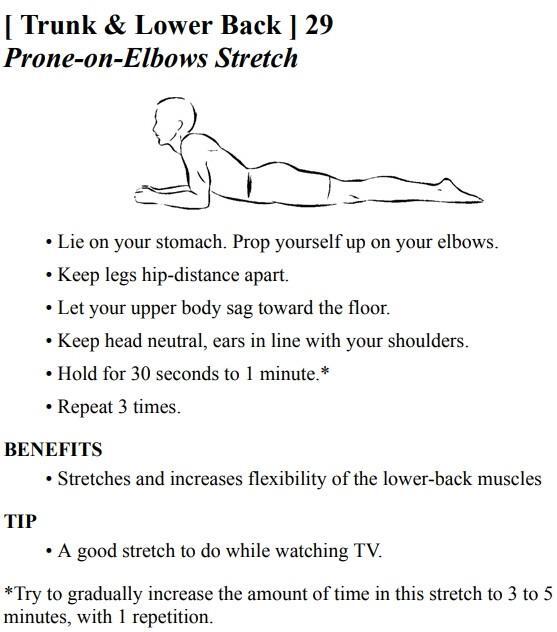 Stretching Exercises - A Guide to Flexibility Training - photo 44