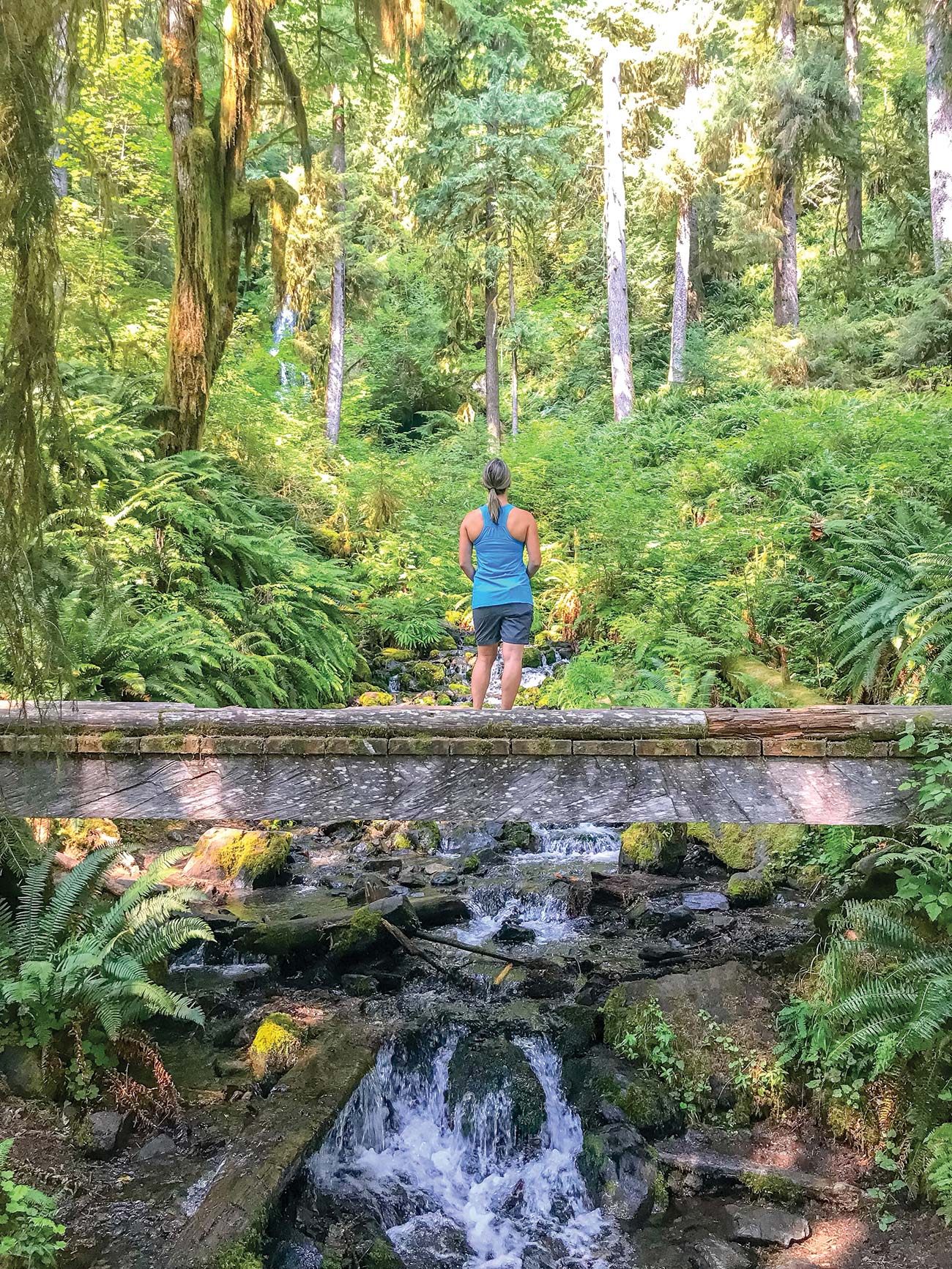 Walk beneath curtains of moss and towering trees in Swim in - photo 10