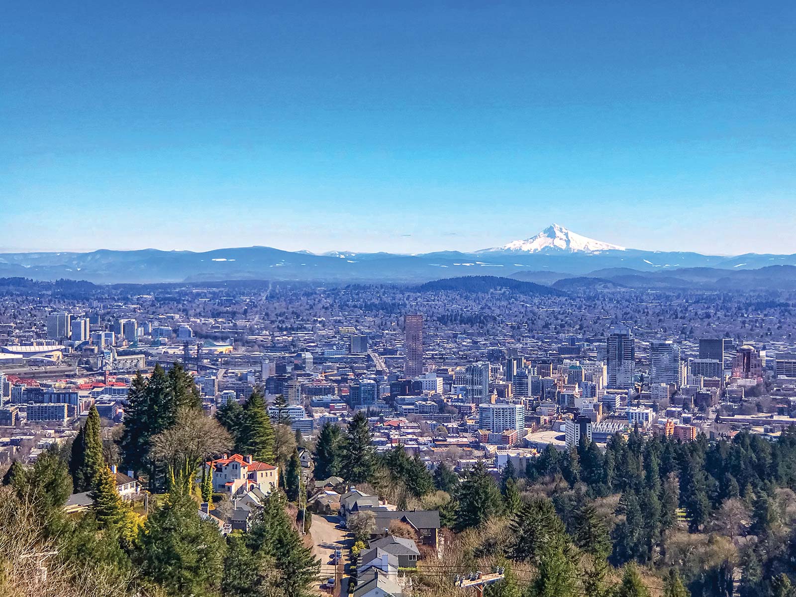 Follow trails through the urban forests of and Portland Gaze into - photo 12