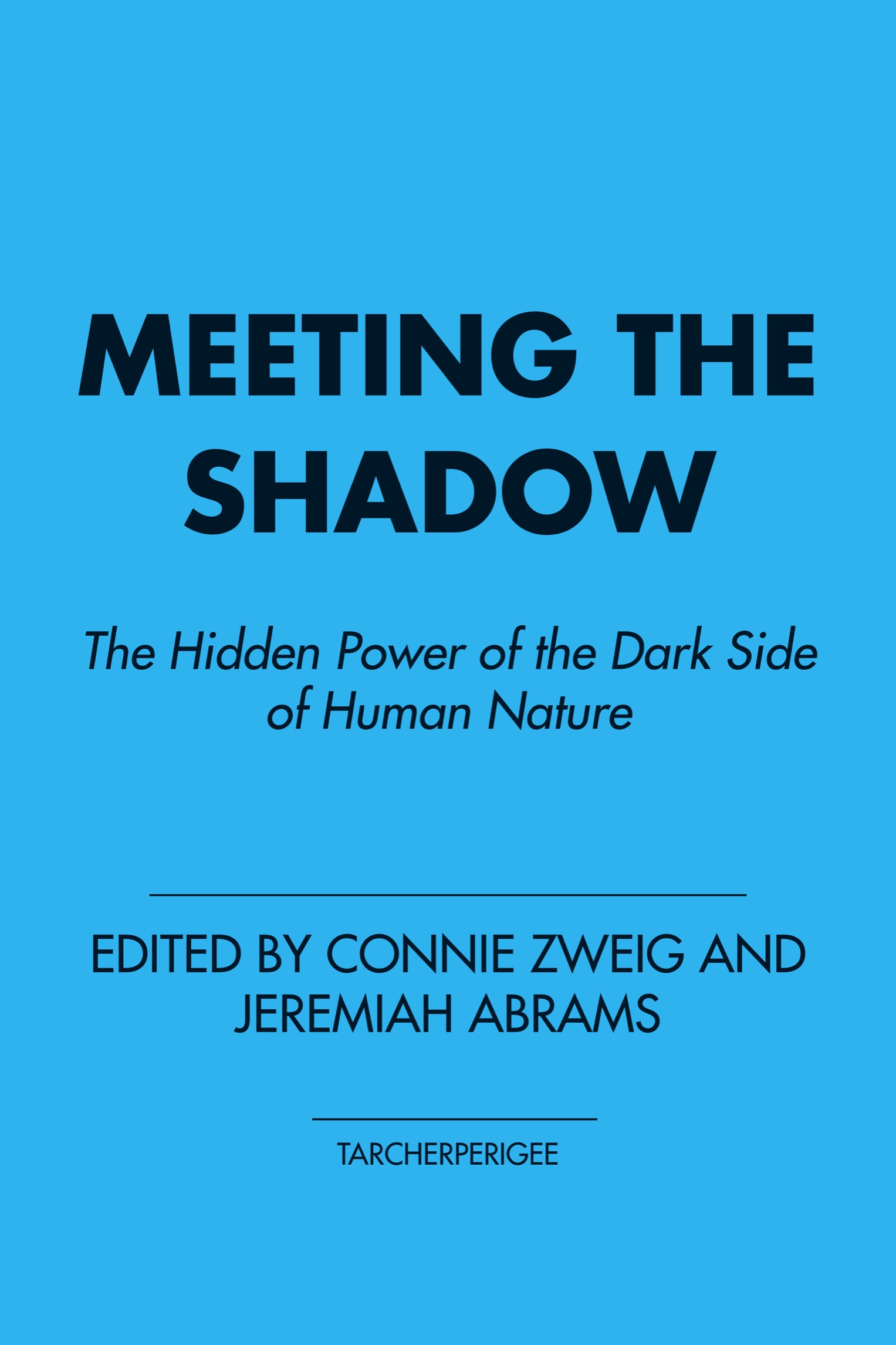 Meeting the Shadow - image 1