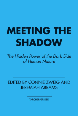 Connie Zweig - Meeting the Shadow