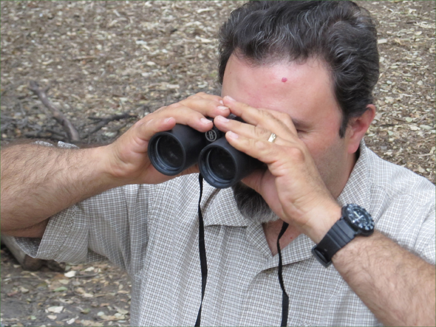 Observe your landscape ideally from a high elevation Binoculars can help you - photo 6