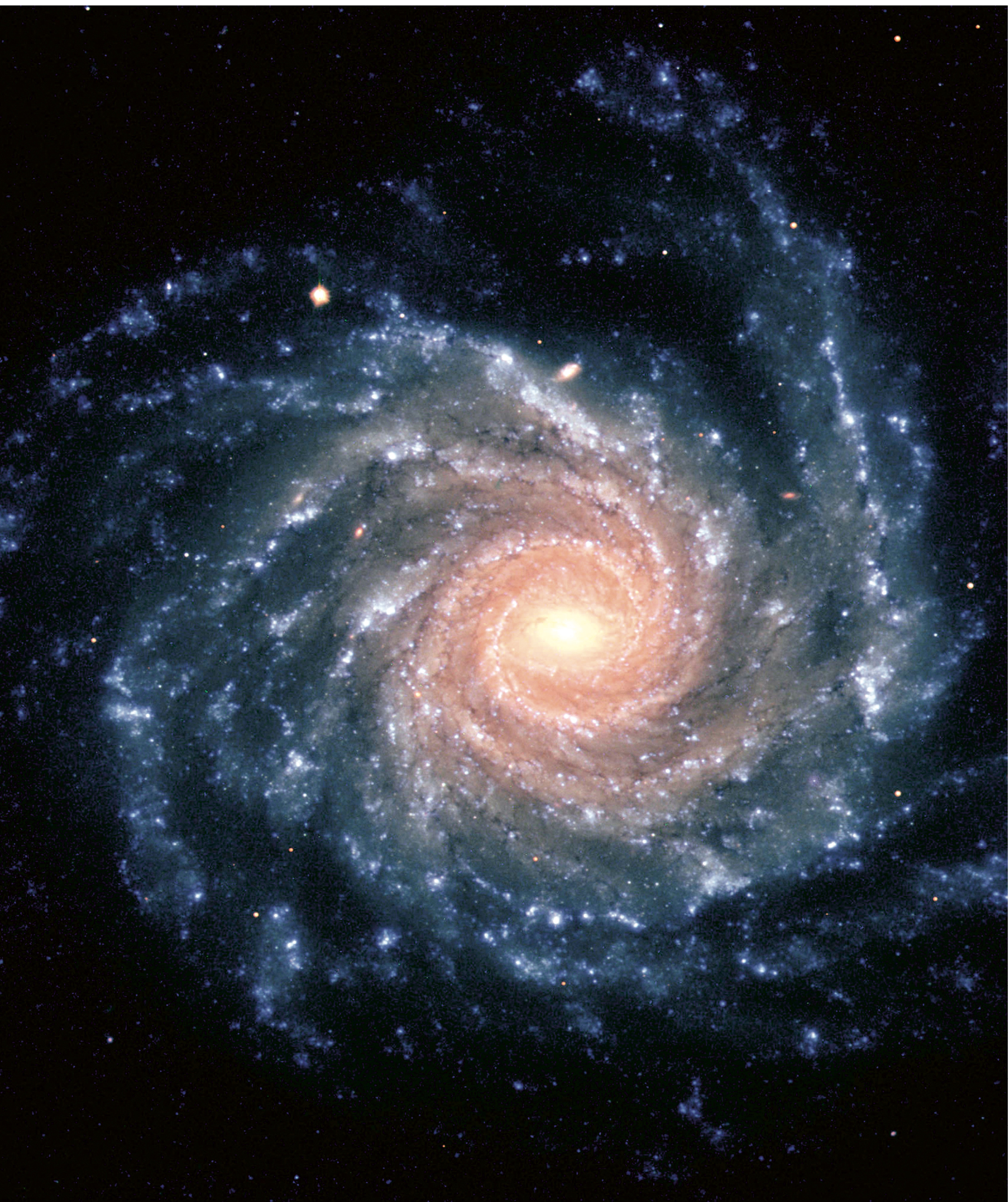 THE GRAND SPIRAL FACE-ON GALAXY NGC 1232 One of the gems of the southern sky - photo 2