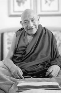 Trulshik Rinpoche BY T RULSHIK R INPOCHE OM SVASTI Lion of the Word who - photo 6