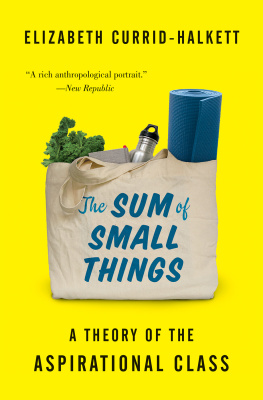 Elizabeth Currid-Halkett - The Sum of Small Things