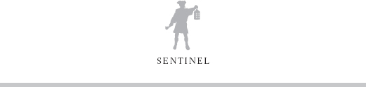 SENTINEL Published by the Penguin Group Penguin Group USA LLC 375 Hudson - photo 4