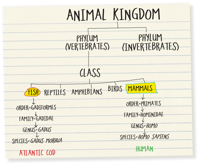 Darwin wrote of how all species struggle for the survival of their own group - photo 6