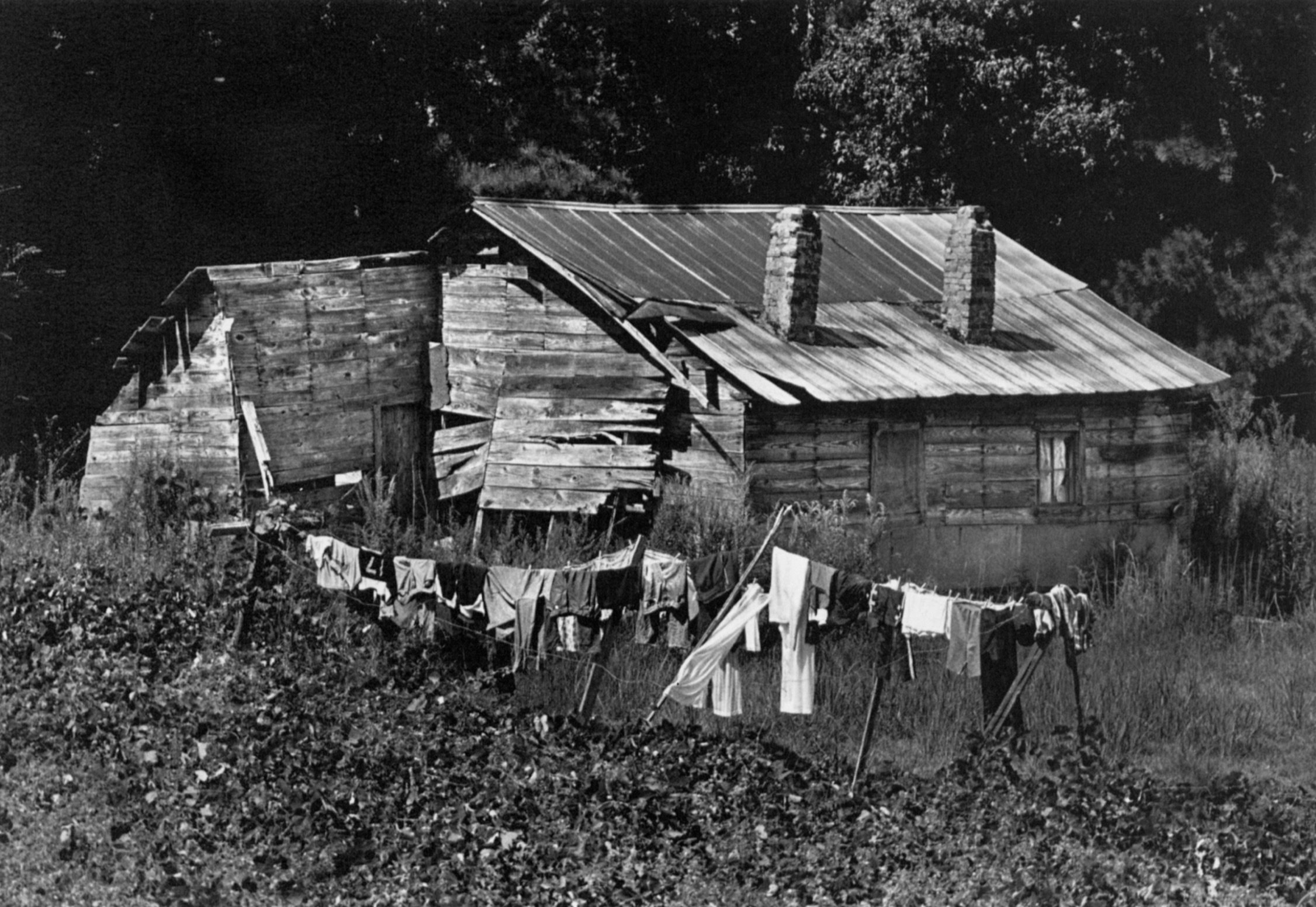 And Their Children After Them The Legacy of Let Us Now Praise Famous Men James Agee Walker Evans and the Rise and Fall of Cotton in the South - photo 24