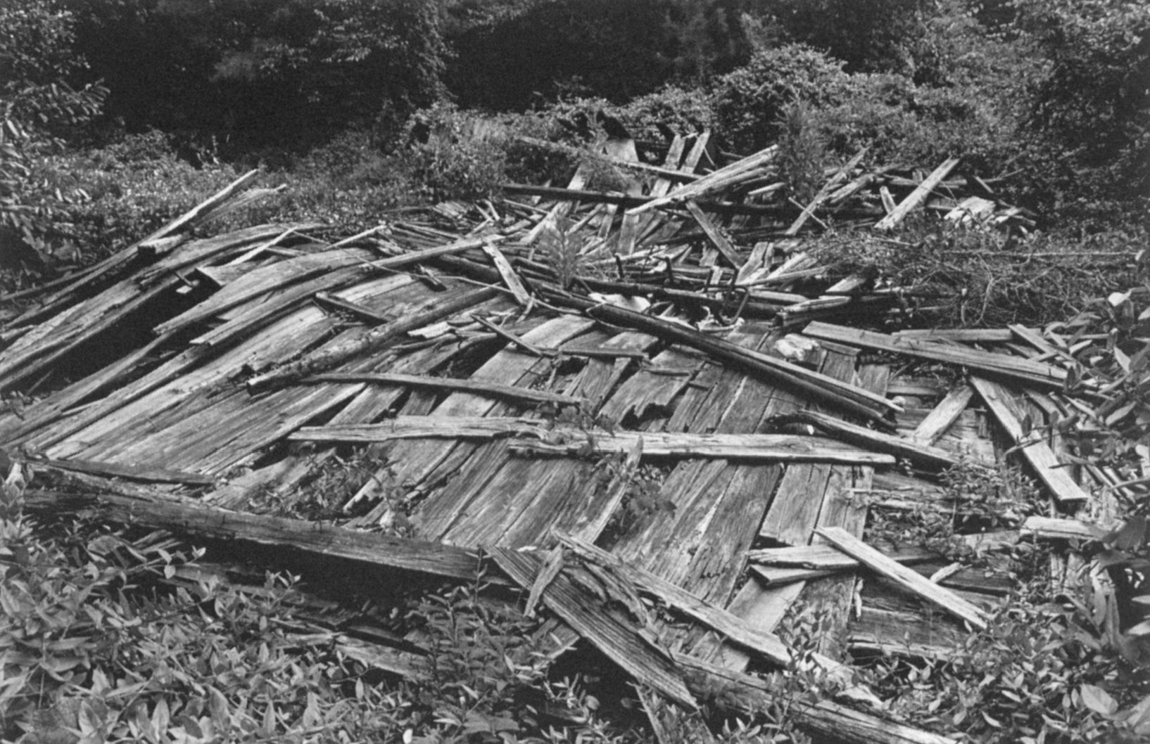 And Their Children After Them The Legacy of Let Us Now Praise Famous Men James Agee Walker Evans and the Rise and Fall of Cotton in the South - photo 11