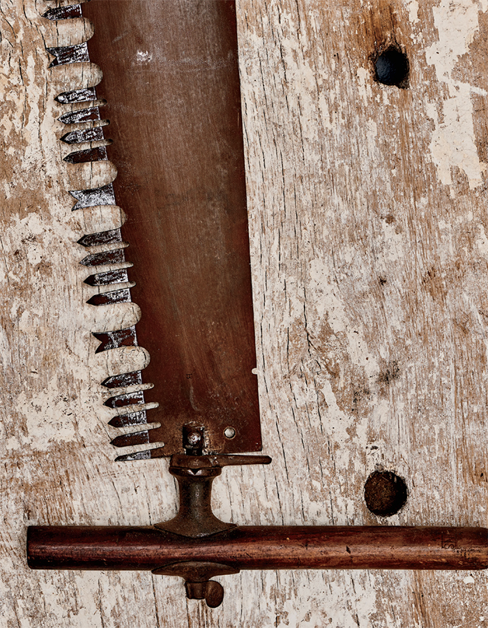 Crosscut saw with barn threshing floor White pine in the Adirondacks - photo 4