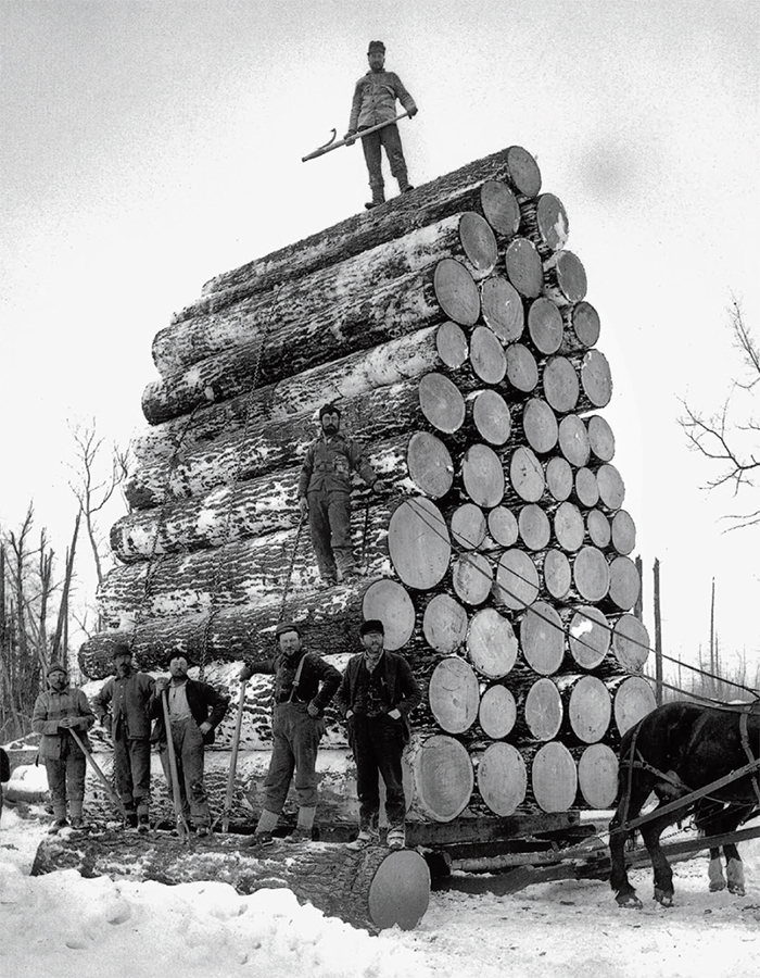 Logging eastern white pine in northern Wisconsin Detroit Photographic Company - photo 12