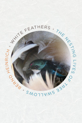 Bernd Heinrich - White Feathers