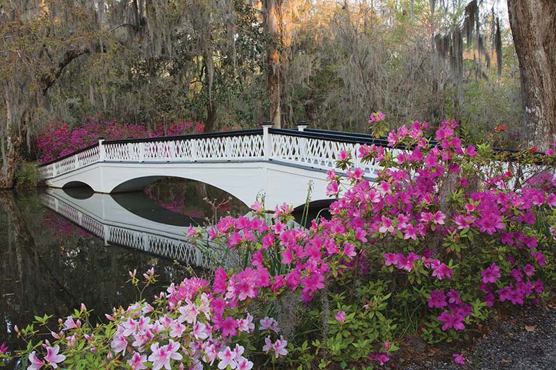 Garden Delights Home to the near-royal gardens of Middleton Place - photo 21