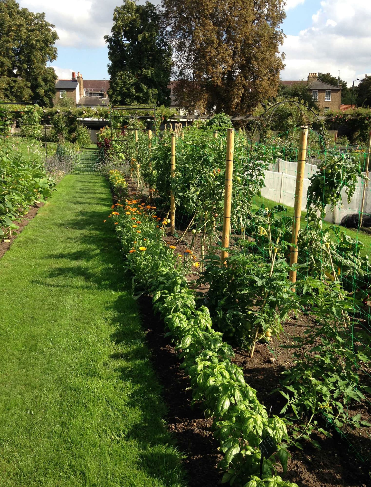 THE KEW GARDENERS GUIDE TO GROWING VEGETABLES THE ART AND SCIENCE TO GROW YOUR - photo 2