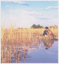 From top Farmland in Lesotho Harvest in Indonesia Wetlands in Botswana - photo 4