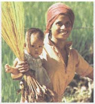 From top Farmland in Lesotho Harvest in Indonesia Wetlands in Botswana - photo 3