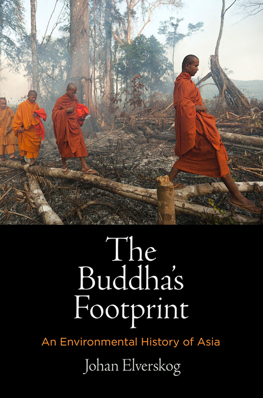 The Buddhas Footprint ENCOUNTERS WITH ASIA Victor H Mair Series Editor - photo 1