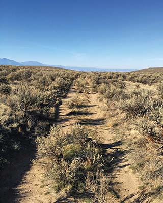 The Oregon Trail is in many ways the countrys original road trip Lured by - photo 3