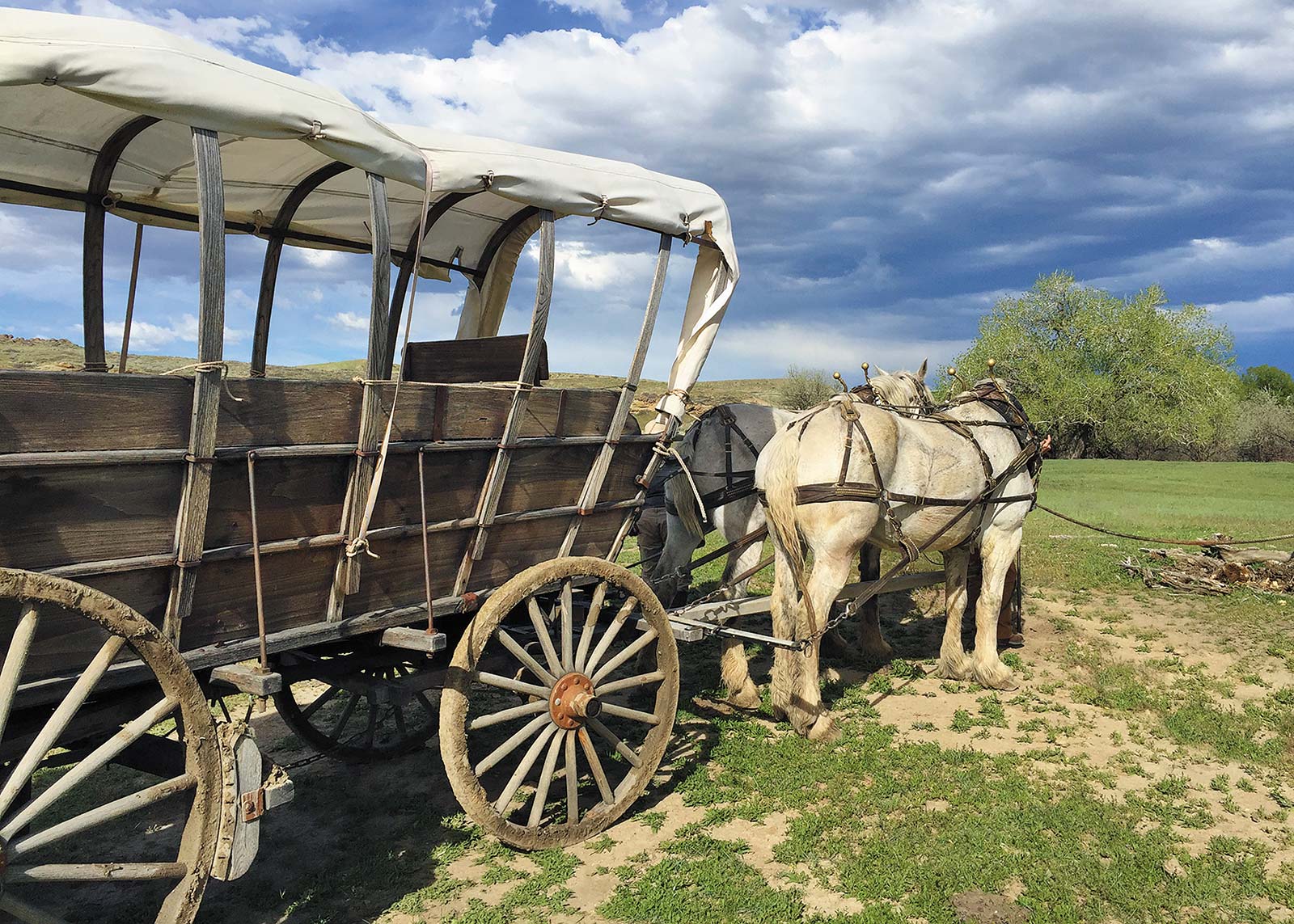 Embark on Your Own Covered-Wagon Adventure A ride with Walk Alongside - photo 7