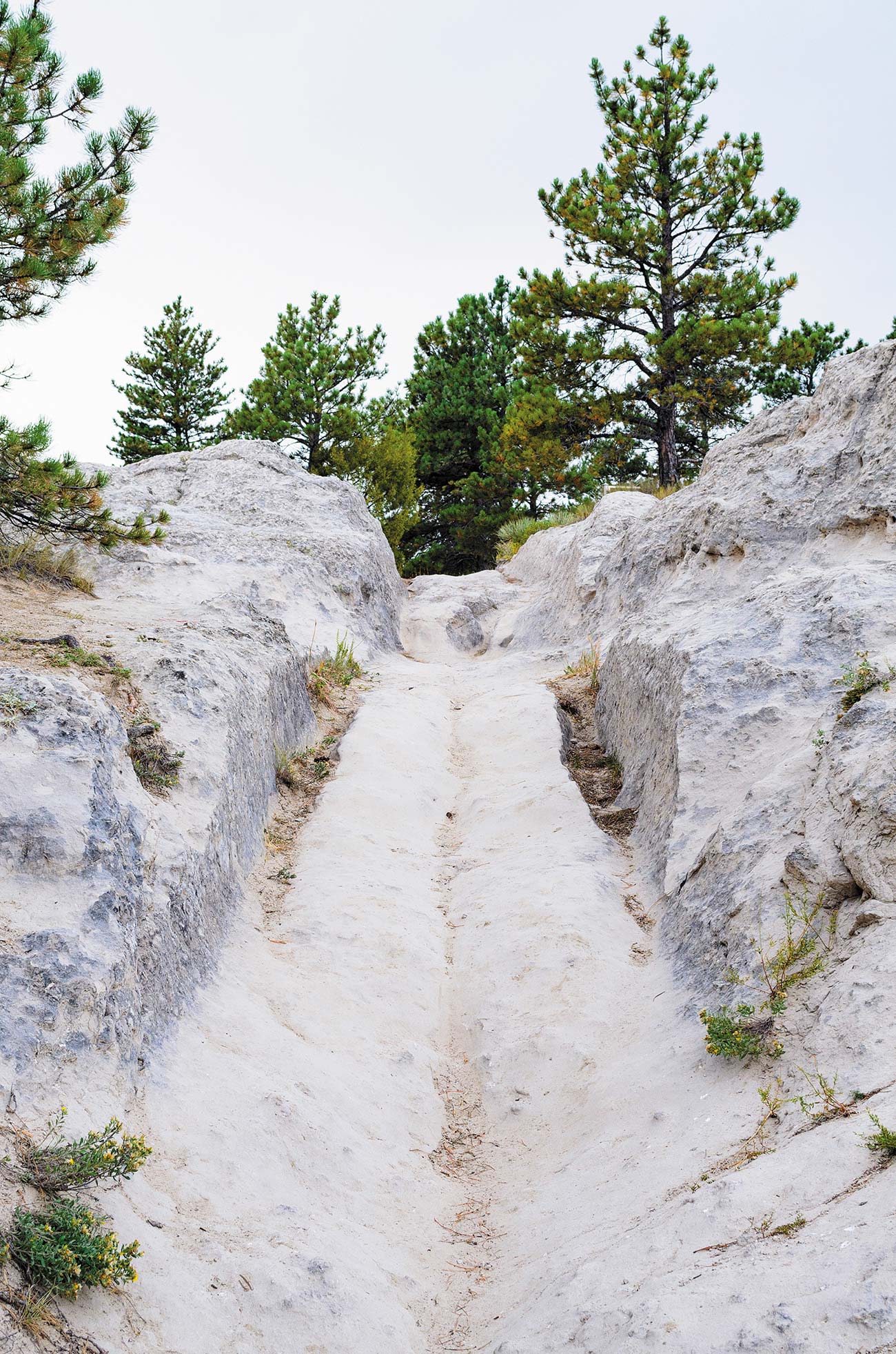 Walk Alongside Original Wagon Pioneers left behind traces of their passage - photo 8