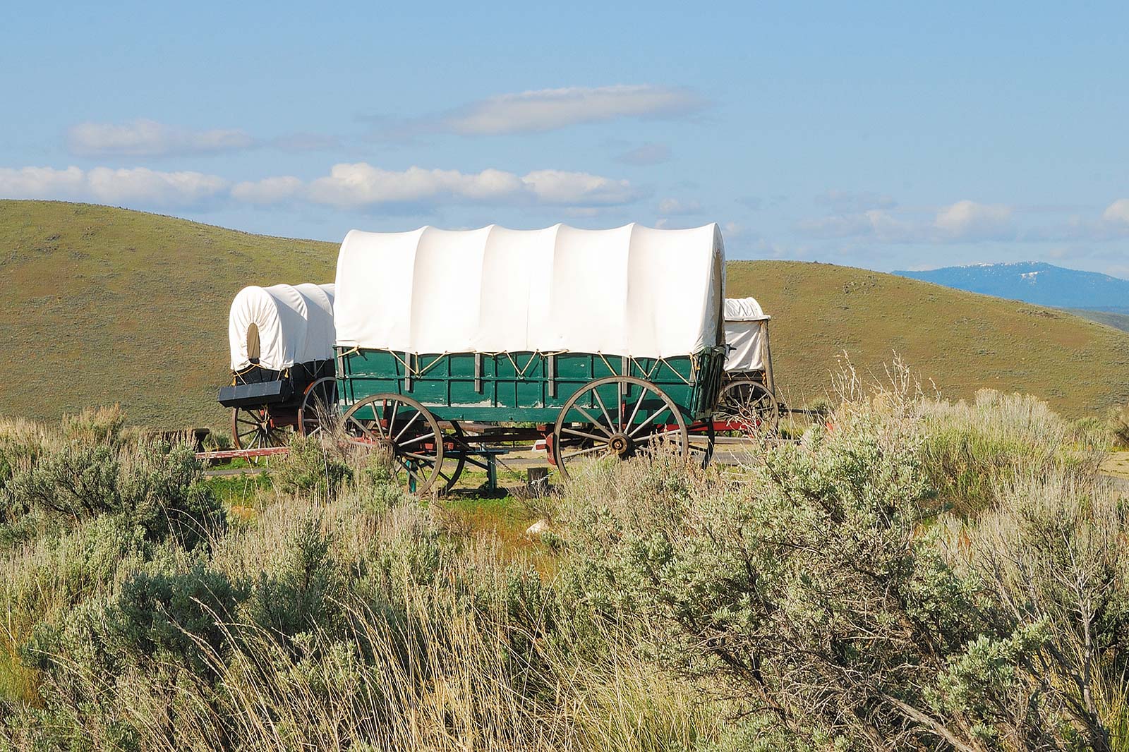 Learn at Interactive Museums Take a simulated wagon ride guided by - photo 14