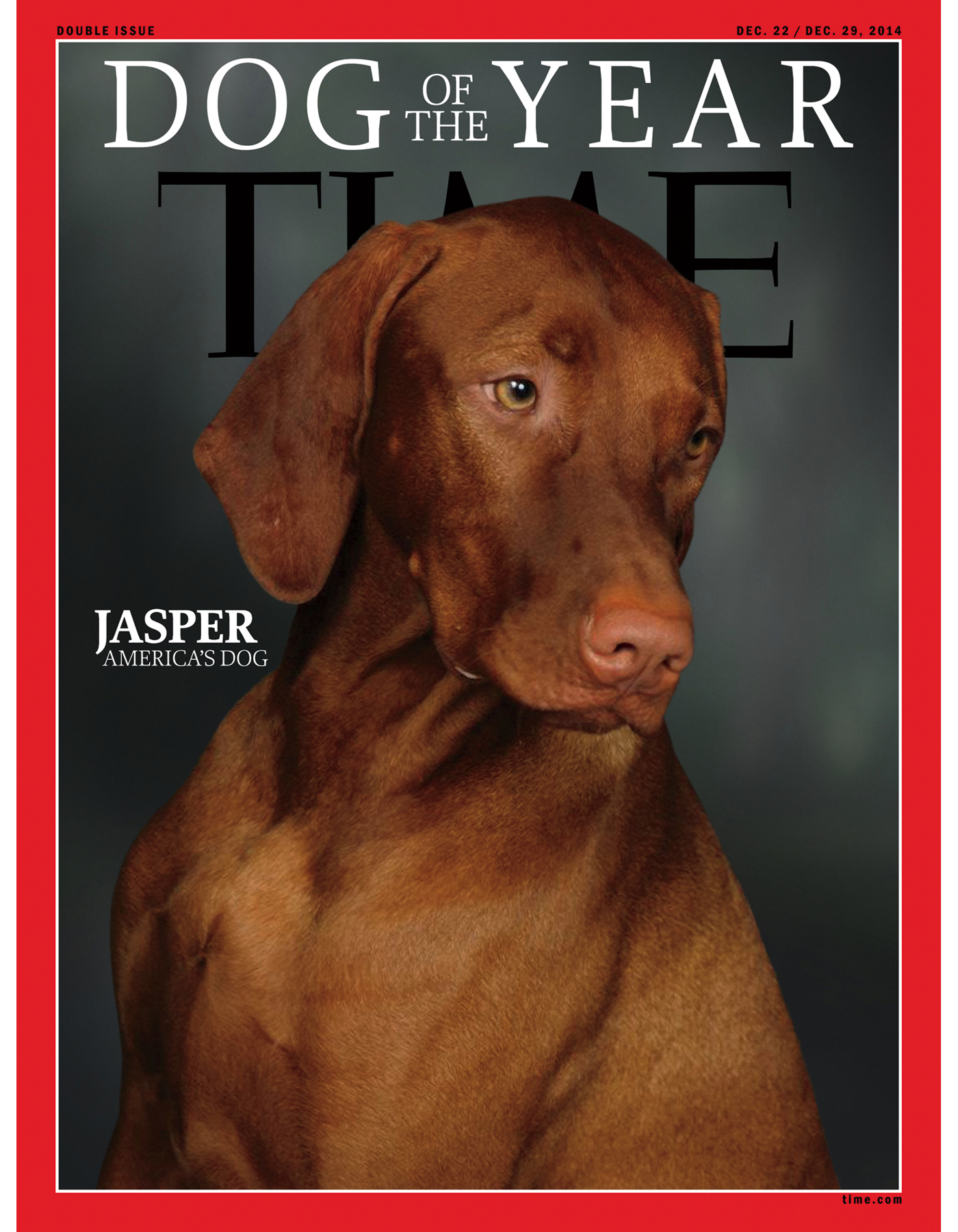 J asper is a four-year-old Hungarian Vizsla My husband Peter and I brought - photo 5
