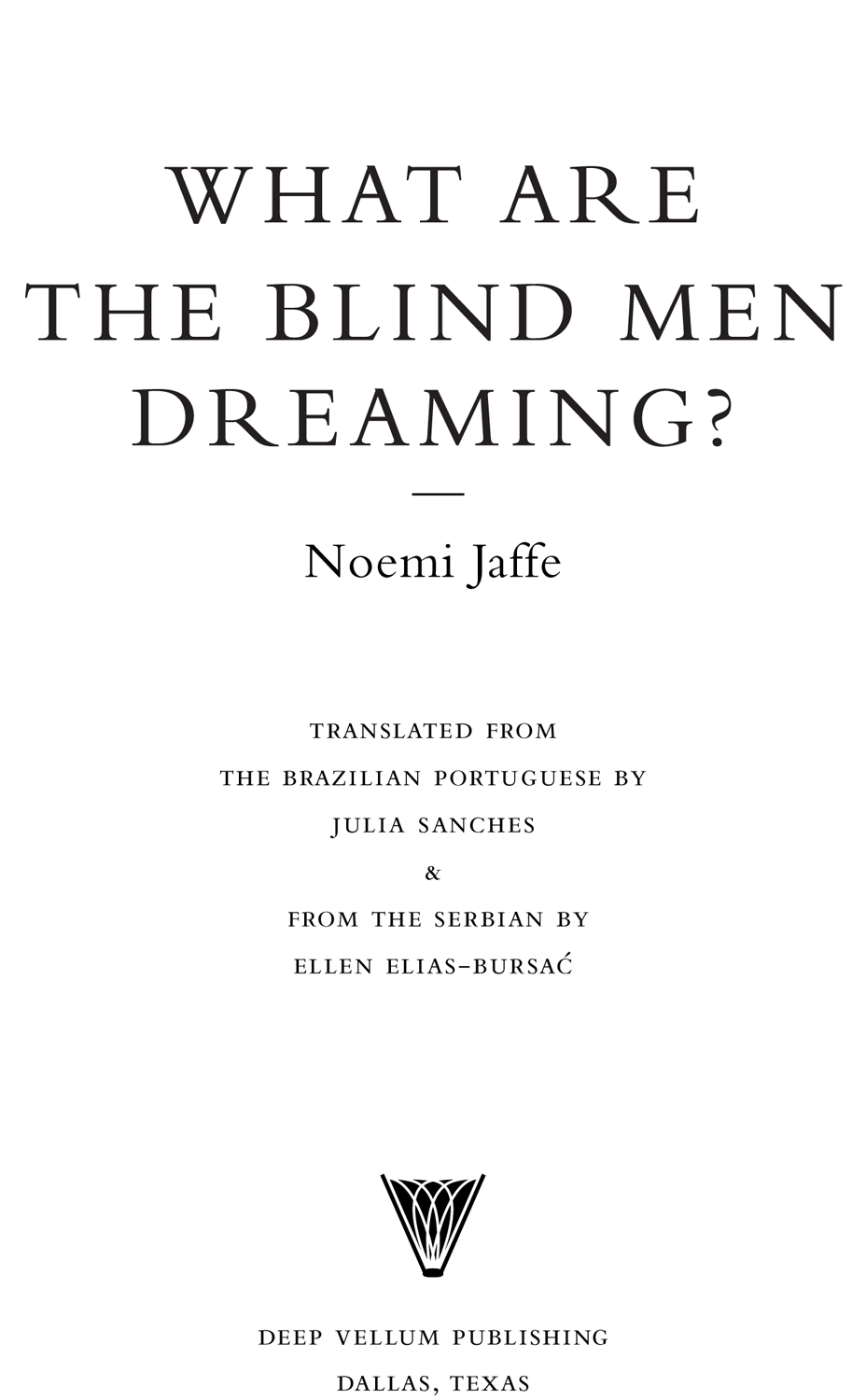 What are the Blind Men Dreaming - image 2