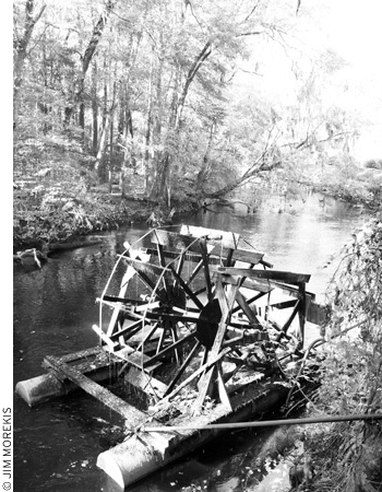 The Edisto River is the longest blackwater river in the world Around the fall - photo 2