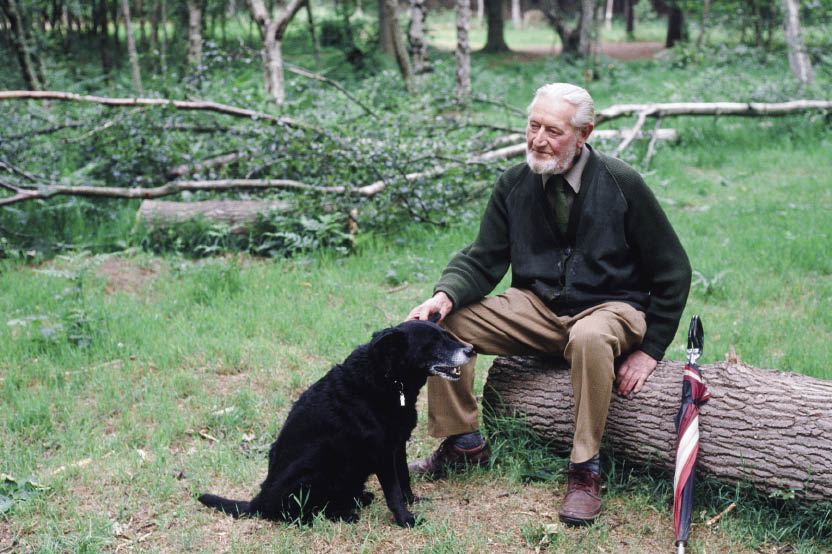 Growing old together This senior dog and his owner have clearly formed a close - photo 9