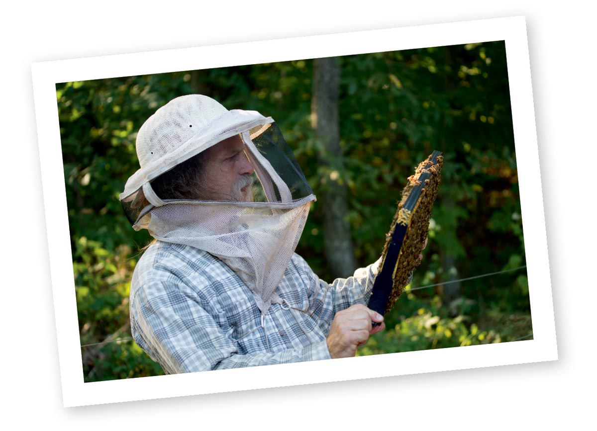 Our bee mentor Tony Pisano has kept many more hives than we have for many - photo 4