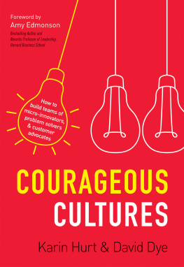 Karin Hurt Courageous Cultures