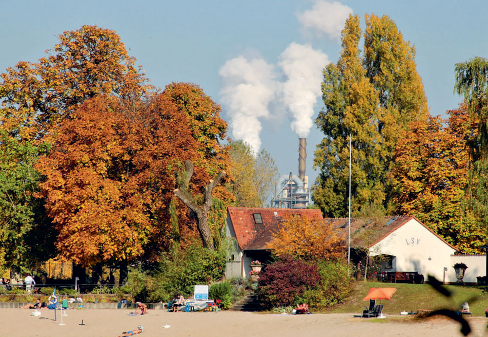 Late summer 2017 on the Willersinnweiher beach a popular local recreation area - photo 10