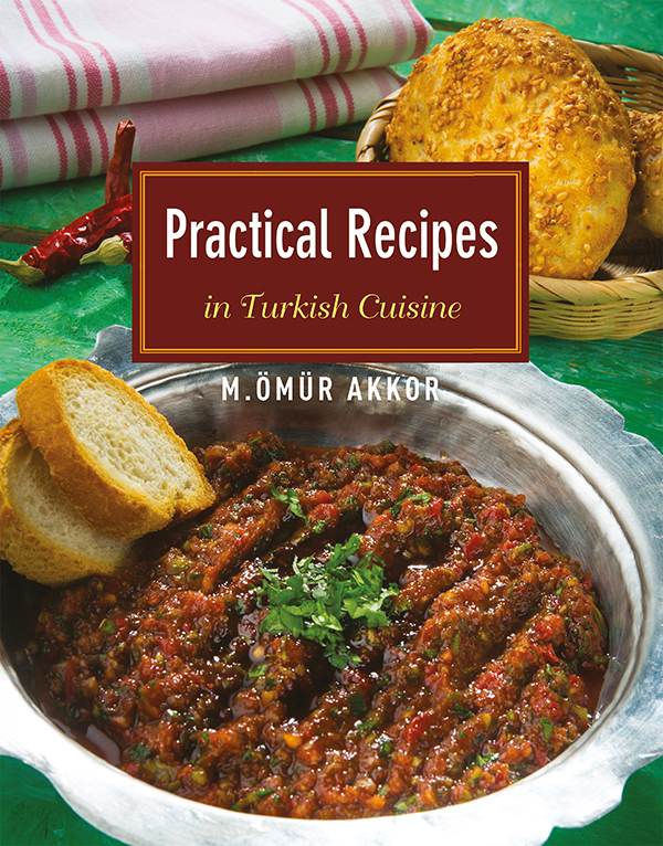 Practical Recipes in Turkish Cuisine - image 1