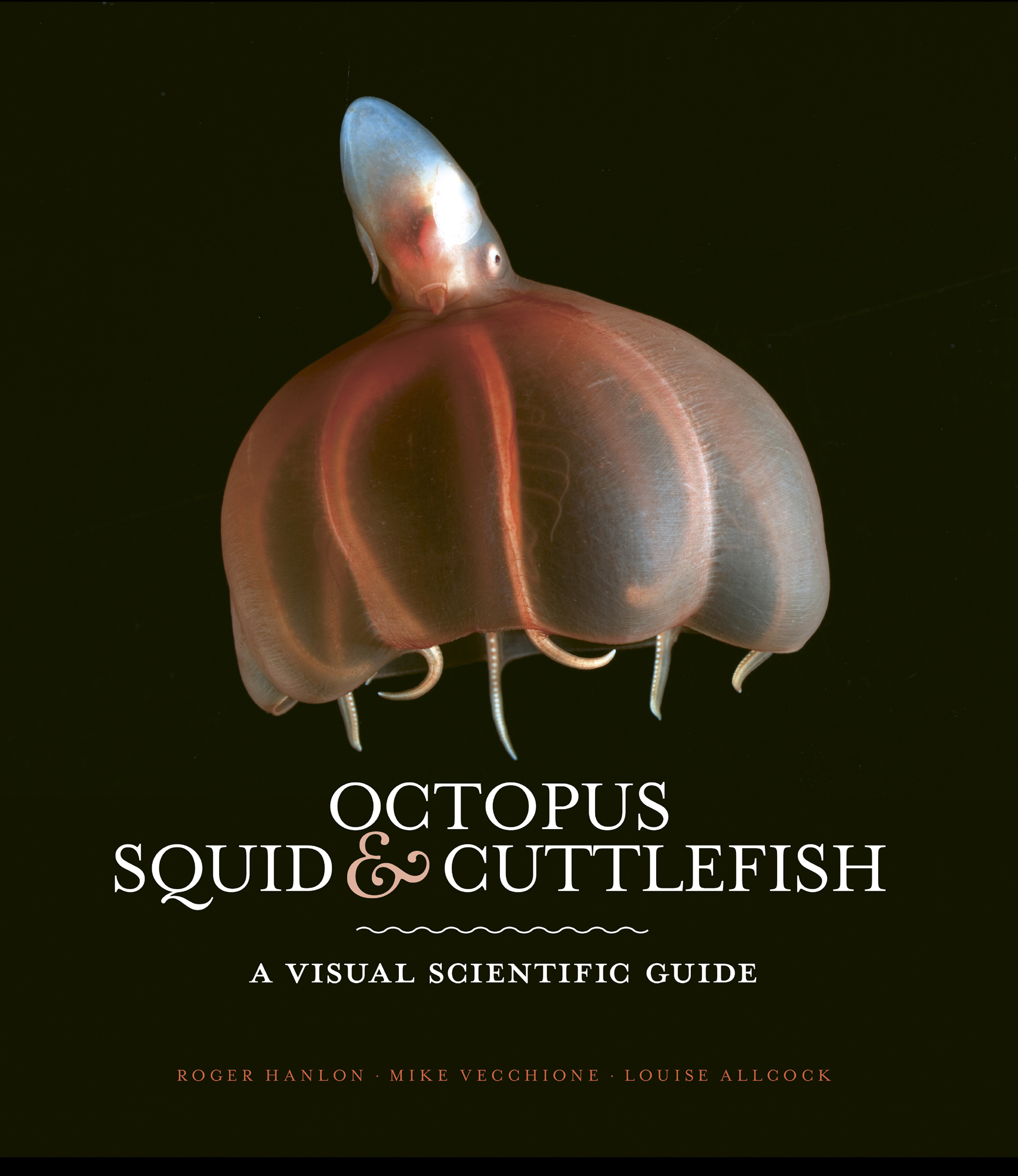 OCTOPUS SQUID CUTTLEFISH A VISUAL SCIENTIFIC GUIDE ROGER HANLON MIKE - photo 1